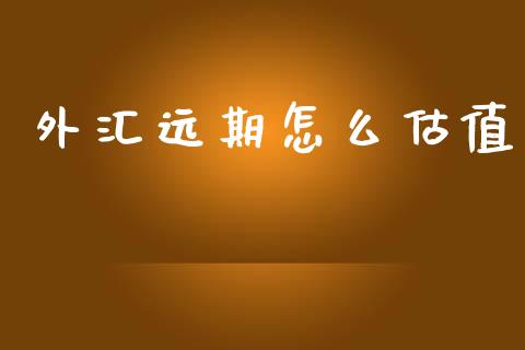 外汇远期怎么估值_https://wap.jnlaobingbanjia.com_金融理财_第1张