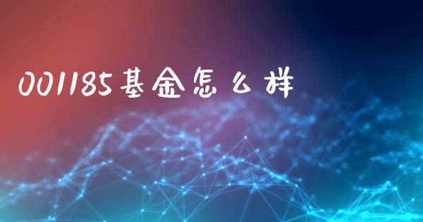 001185基金怎么样_https://wap.jnlaobingbanjia.com_基金分析_第1张