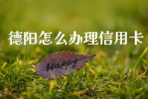 德阳怎么办理信用卡_https://wap.jnlaobingbanjia.com_财经资讯_第1张