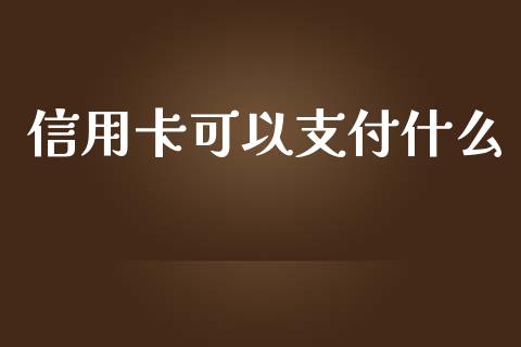 信用卡可以支付什么_https://wap.jnlaobingbanjia.com_金融理财_第1张