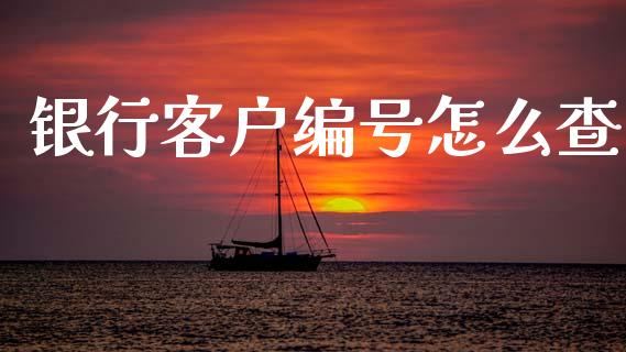 银行客户编号怎么查_https://wap.jnlaobingbanjia.com_金融理财_第1张