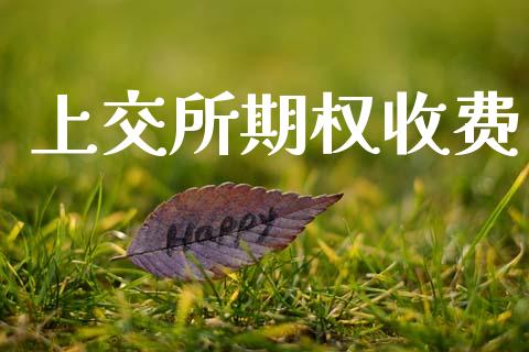 上交所期权收费_财经资讯_第1张_财经资讯_股市行情_财务管理_金融理财 上交所期权收费_https://wap.jnlaobingbanjia.com_财经资讯_第1张
