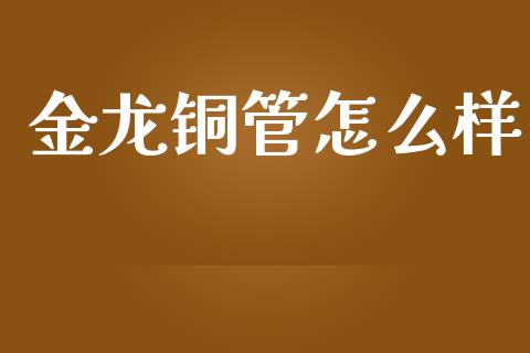金龙铜管怎么样_https://wap.jnlaobingbanjia.com_证券公告_第1张