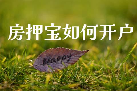 房押宝如何开户_基金分析_第1张_财经资讯_股市行情_财务管理_金融理财 房押宝如何开户_https://wap.jnlaobingbanjia.com_基金分析_第1张