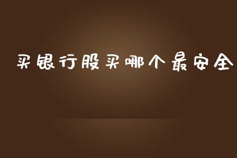 买银行股买哪个最安全_https://wap.jnlaobingbanjia.com_证券公告_第1张