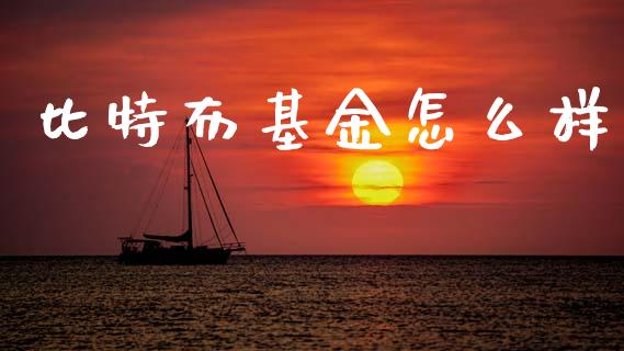 比特布基金怎么样_https://wap.jnlaobingbanjia.com_金融理财_第1张