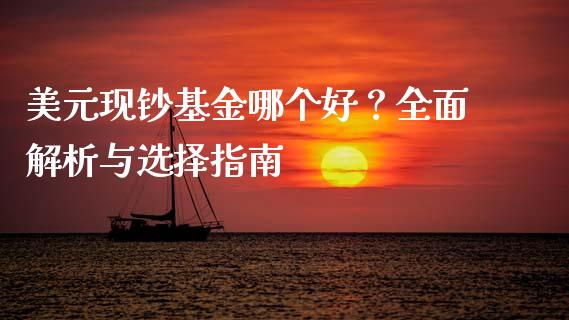 美元现钞基金哪个好？全面解析与选择指南_https://wap.jnlaobingbanjia.com_证券公告_第1张