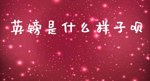 英镑是什么样子呗_https://wap.jnlaobingbanjia.com_证券公告_第1张