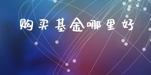 购买基金哪里好_https://wap.jnlaobingbanjia.com_财经资讯_第1张