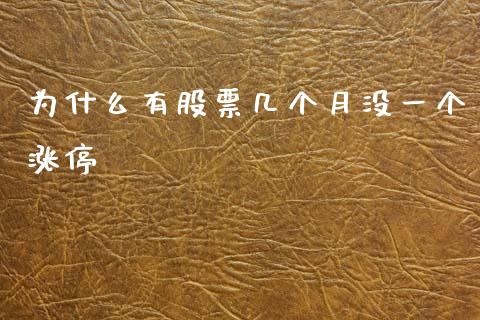 为什么有股票几个月没一个涨停_https://wap.jnlaobingbanjia.com_金融理财_第1张