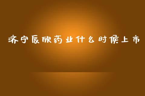 济宁辰欣药业什么时侯上市_https://wap.jnlaobingbanjia.com_股市行情_第1张