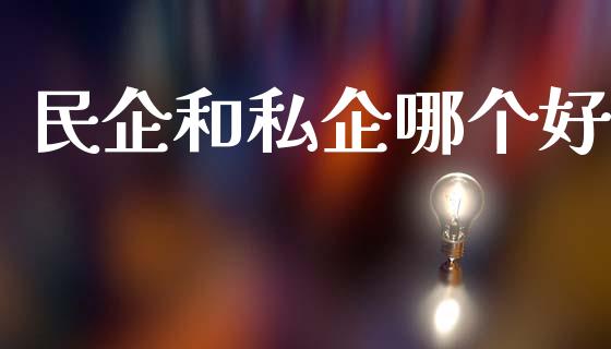 民企和私企哪个好_https://wap.jnlaobingbanjia.com_财经资讯_第1张