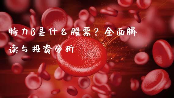特力B是什么股票？全面解读与投资分析_https://wap.jnlaobingbanjia.com_财经资讯_第1张