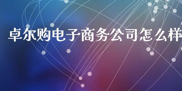 卓尔购电子商务公司怎么样_https://wap.jnlaobingbanjia.com_金融理财_第1张