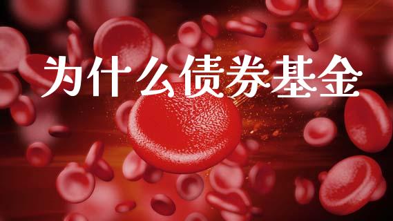为什么债券基金_https://wap.jnlaobingbanjia.com_财务管理_第1张