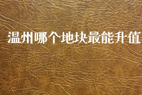 温州哪个地块最能升值_https://wap.jnlaobingbanjia.com_金融理财_第1张