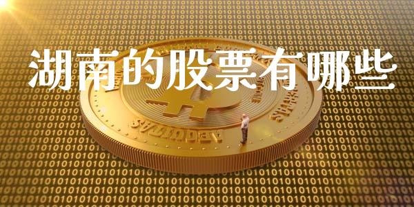 湖南的股票有哪些_https://wap.jnlaobingbanjia.com_基金分析_第1张
