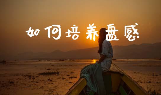 如何培养盘感_https://wap.jnlaobingbanjia.com_财务管理_第1张