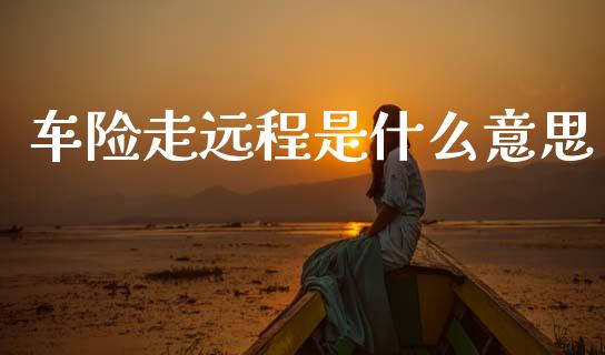 车险走远程是什么意思_https://wap.jnlaobingbanjia.com_基金分析_第1张