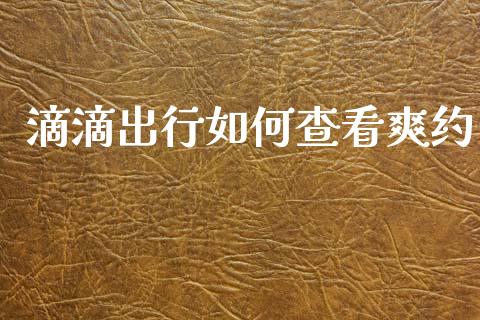 滴滴出行如何查看爽约_https://wap.jnlaobingbanjia.com_股市行情_第1张