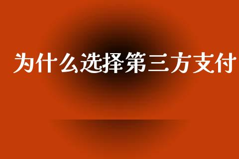 为什么选择第三方支付_https://wap.jnlaobingbanjia.com_基金分析_第1张