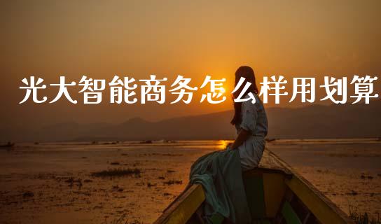 光大智能商务怎么样用划算_https://wap.jnlaobingbanjia.com_证券公告_第1张