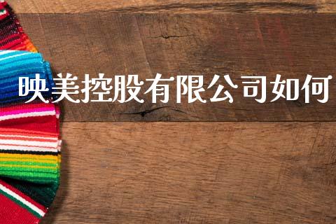 映美控股有限公司如何_https://wap.jnlaobingbanjia.com_基金分析_第1张