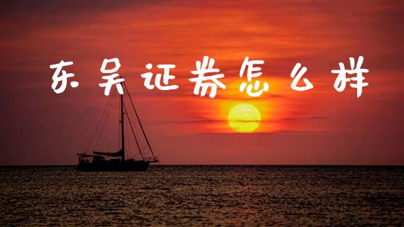 东吴证券怎么样_https://wap.jnlaobingbanjia.com_财务管理_第1张