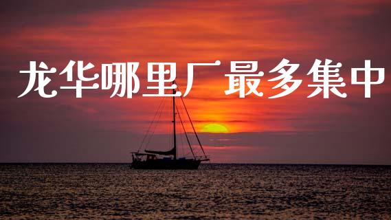 龙华哪里厂最多集中_https://wap.jnlaobingbanjia.com_基金分析_第1张