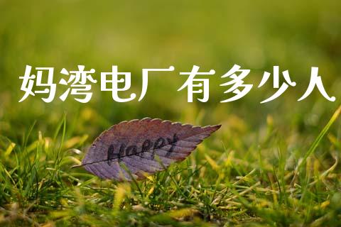 妈湾电厂有多少人_https://wap.jnlaobingbanjia.com_股市行情_第1张
