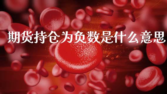 期货持仓为负数是什么意思_https://wap.jnlaobingbanjia.com_股市行情_第1张