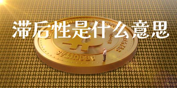 滞后性是什么意思_https://wap.jnlaobingbanjia.com_基金分析_第1张