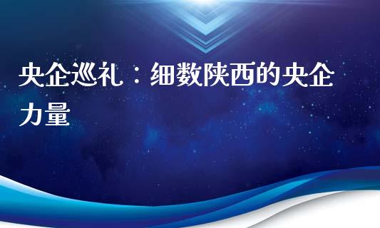 央企巡礼：细数陕西的央企力量_https://wap.jnlaobingbanjia.com_证券公告_第1张