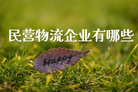 民营物流企业有哪些_https://wap.jnlaobingbanjia.com_金融理财_第1张