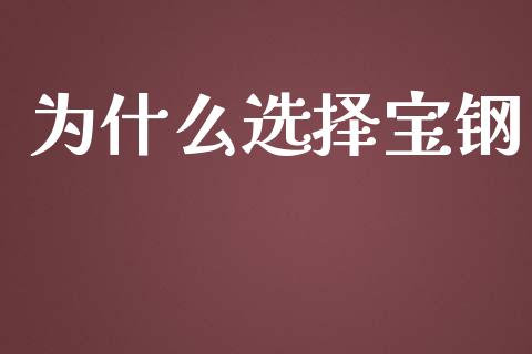 为什么选择宝钢_https://wap.jnlaobingbanjia.com_金融理财_第1张