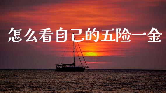 怎么看自己的五险一金_https://wap.jnlaobingbanjia.com_财务管理_第1张