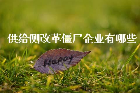 供给侧改革僵尸企业有哪些_https://wap.jnlaobingbanjia.com_证券公告_第1张