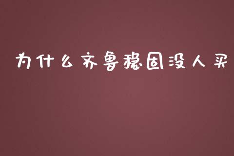 为什么齐鲁稳固没人买_https://wap.jnlaobingbanjia.com_财务管理_第1张