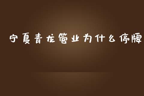 宁夏青龙管业为什么停牌_https://wap.jnlaobingbanjia.com_基金分析_第1张