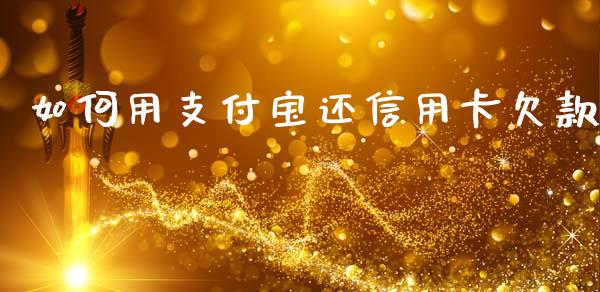 如何用支付宝还信用卡欠款_https://wap.jnlaobingbanjia.com_基金分析_第1张