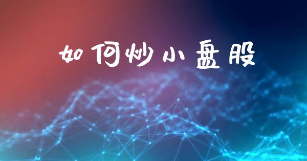 如何炒小盘股_https://wap.jnlaobingbanjia.com_财经资讯_第1张