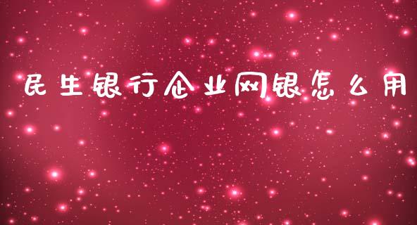 民生银行企业网银怎么用_https://wap.jnlaobingbanjia.com_财经资讯_第1张