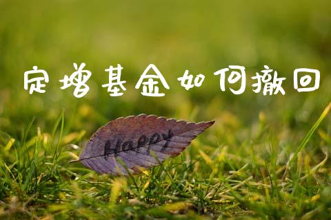 定增基金如何撤回_https://wap.jnlaobingbanjia.com_财务管理_第1张