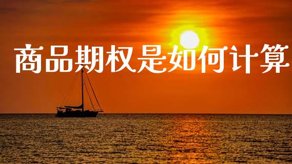 商品期权是如何计算_https://wap.jnlaobingbanjia.com_证券公告_第1张