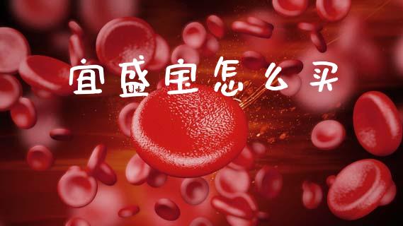 宜盛宝怎么买_https://wap.jnlaobingbanjia.com_财经资讯_第1张