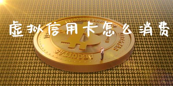 虚拟信用卡怎么消费_https://wap.jnlaobingbanjia.com_财务管理_第1张