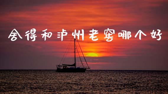 舍得和泸州老窖哪个好_https://wap.jnlaobingbanjia.com_股市行情_第1张