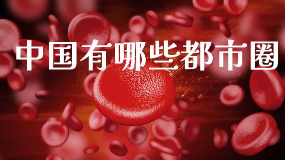 中国有哪些都市圈_https://wap.jnlaobingbanjia.com_财经资讯_第1张