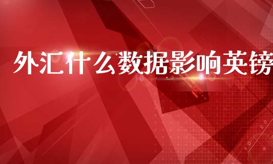 外汇什么数据影响英镑_https://wap.jnlaobingbanjia.com_证券公告_第1张
