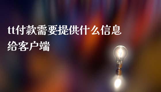 tt付款需要提供什么信息给客户端_https://wap.jnlaobingbanjia.com_财务管理_第1张